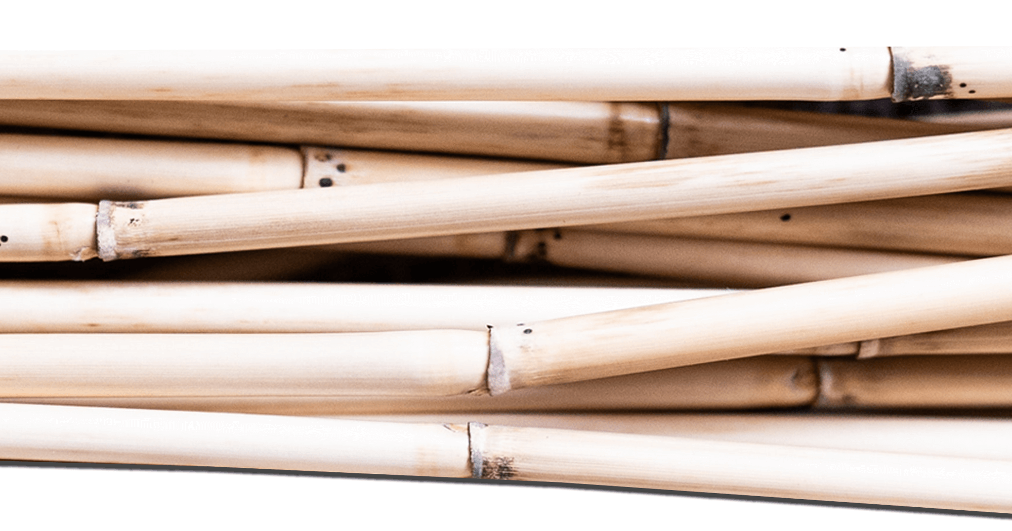 brown bamboo sticks