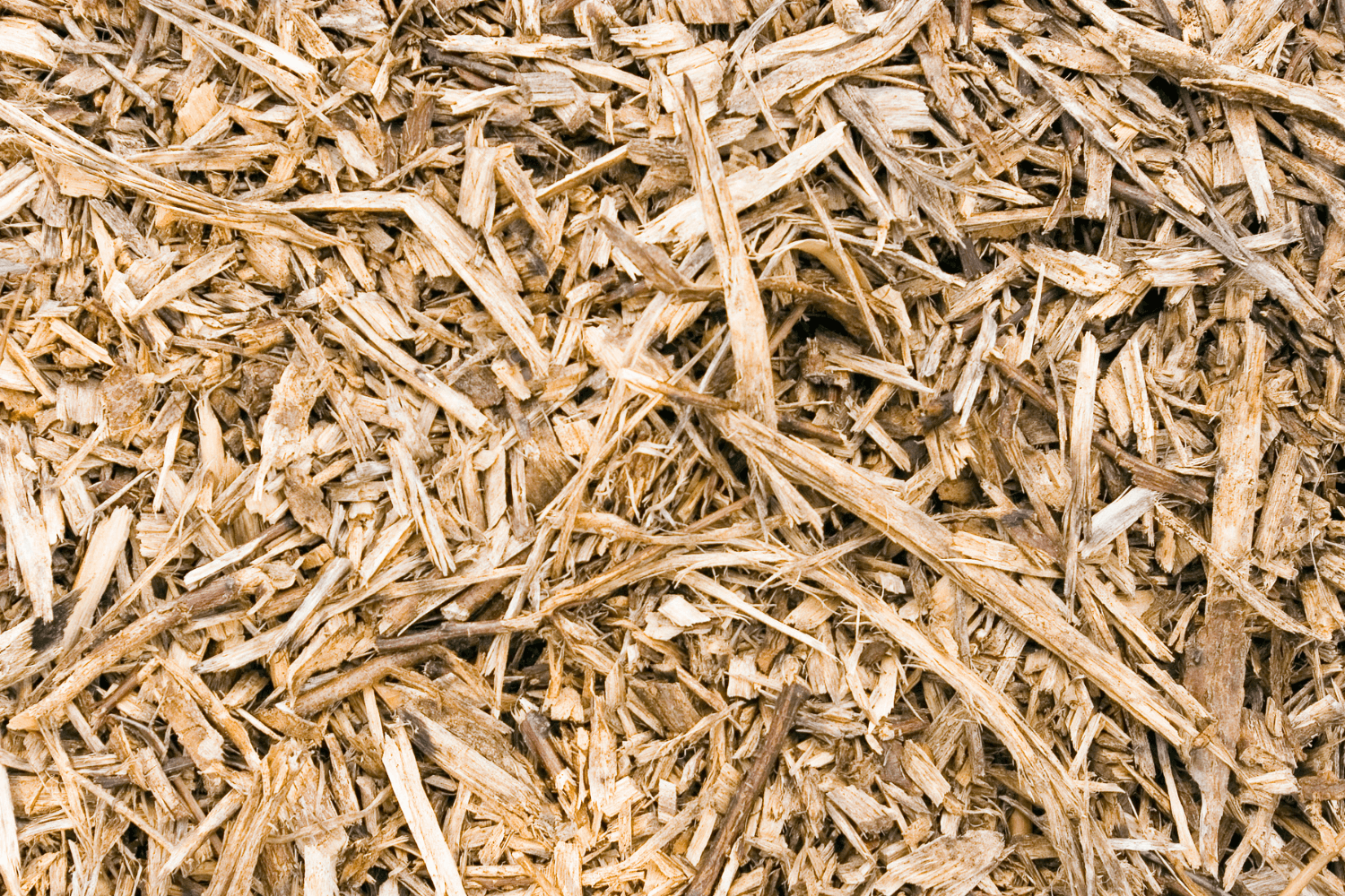 eucalyptus wood pulp